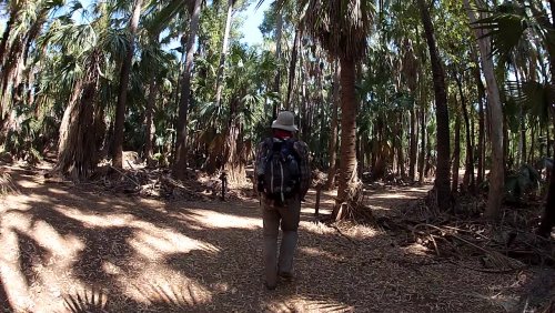 Nos aventures en Australie volume 3/3 : le Northern Territory #5