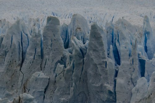 Le Perito Moreno : le tout petit glaçon de la Patagonie argentine #5