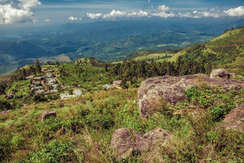Dans la sérénité des montagnes srilankaises #5