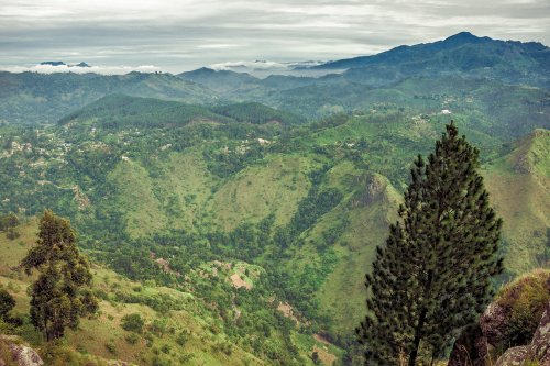 Dans la sérénité des montagnes srilankaises #18