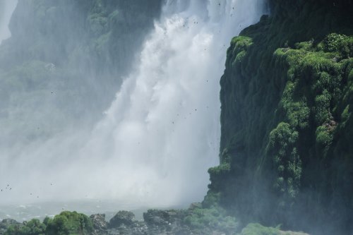 Les chutes d'Iguazú : le côté brésilien #14