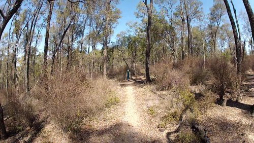 Nos aventures en Australie volume 2/3 : le Queensland #14