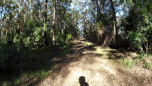 Nos aventures en Australie volume 2/3 : le Queensland #4