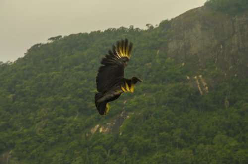 Ilha Grande : une île paradisiaque #4