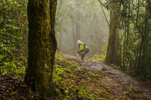 Ilha Grande : une île paradisiaque #8