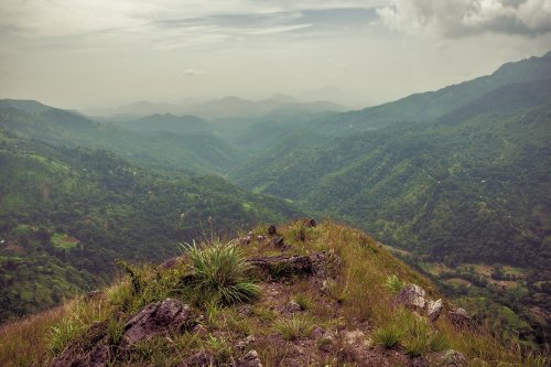 Dans la sérénité des montagnes srilankaises #15
