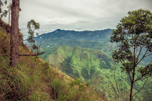 Dans la sérénité des montagnes srilankaises #25