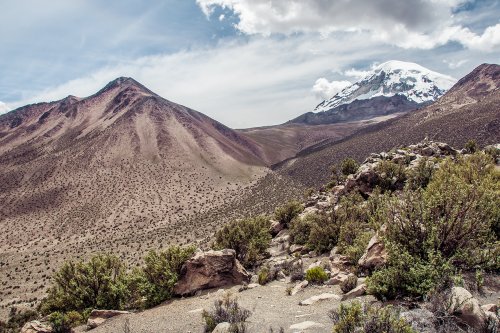 Le parc national Sajama #2