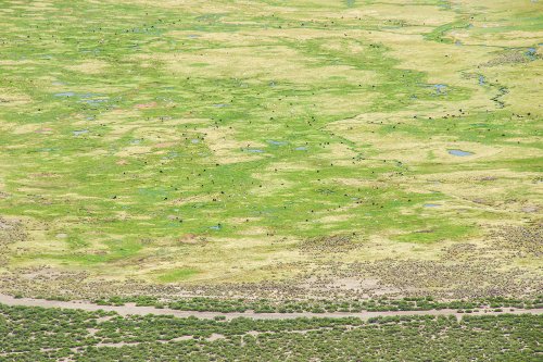 Le parc national Sajama #3