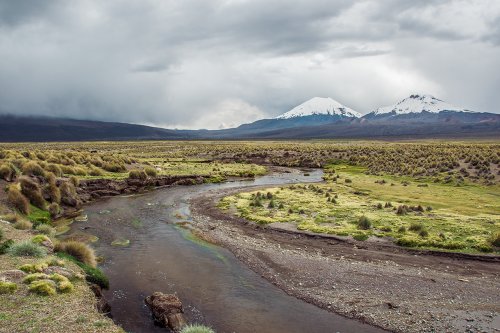 Le parc national Sajama #10