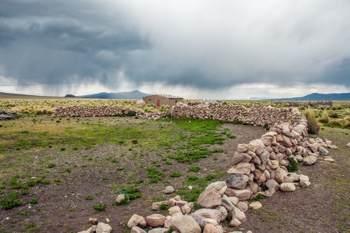 Le parc national Sajama #13