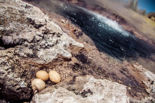 Le parc national Sajama #29