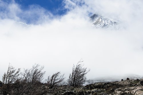Le parc national du Torres del Paine #2