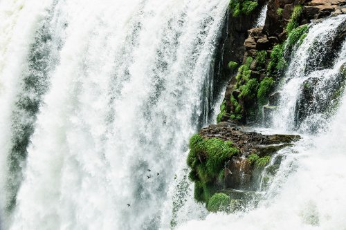 Les chutes d'Iguazú : le côté argentin #14
