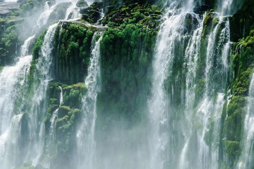 Les chutes d'Iguazú : le côté argentin #19