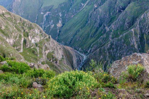 Trekking sans guide dans le canyon de Colca #1